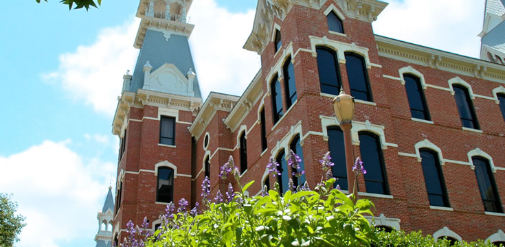 网站攻击软件工具